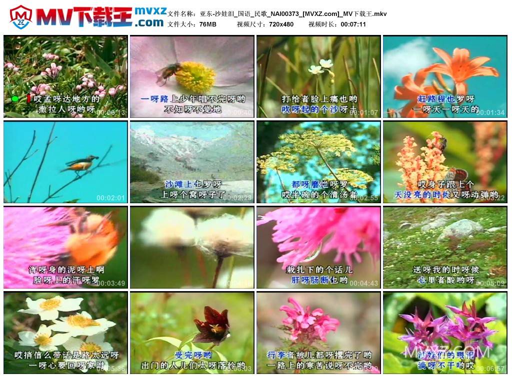 亚东-沙娃泪_国语_民歌_NAI00373